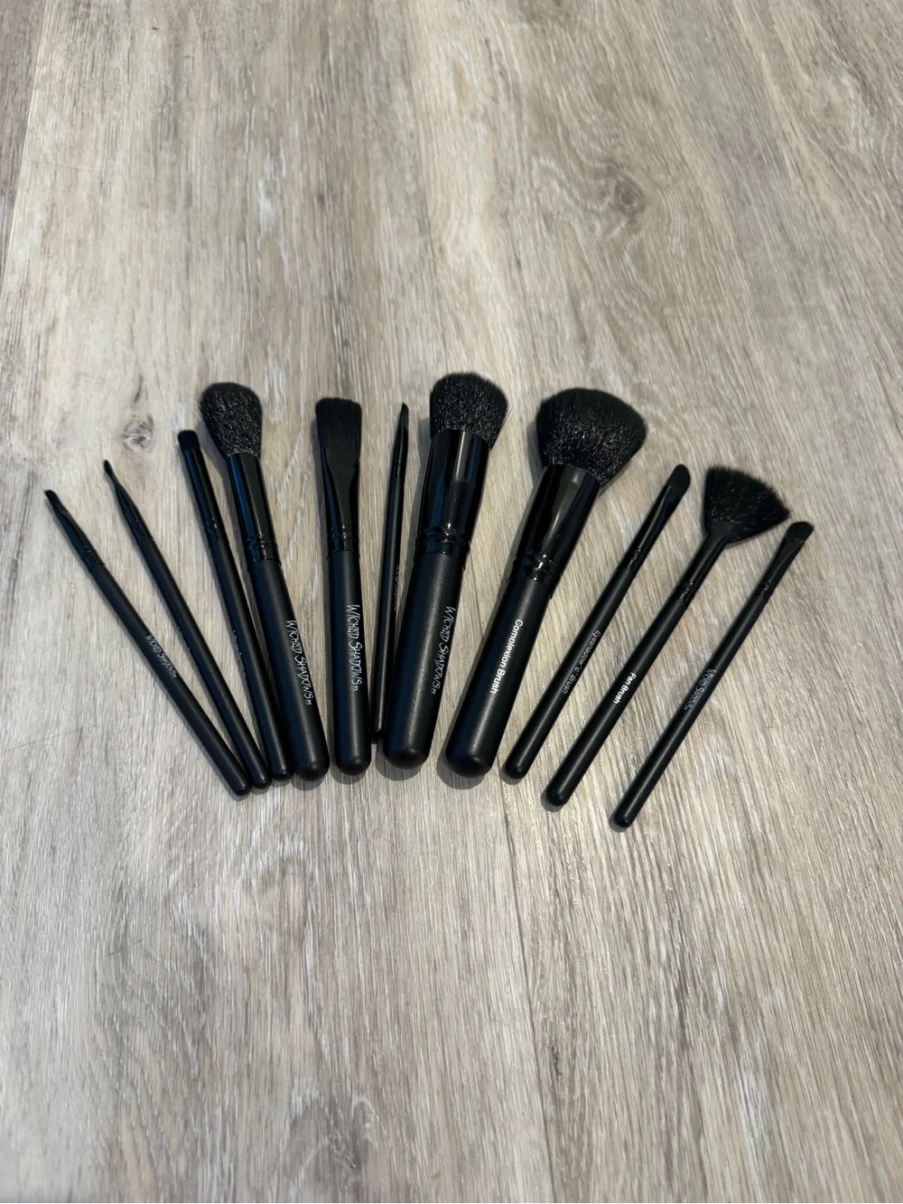 Wicked shadows Makeup brush set (10 brushes)
